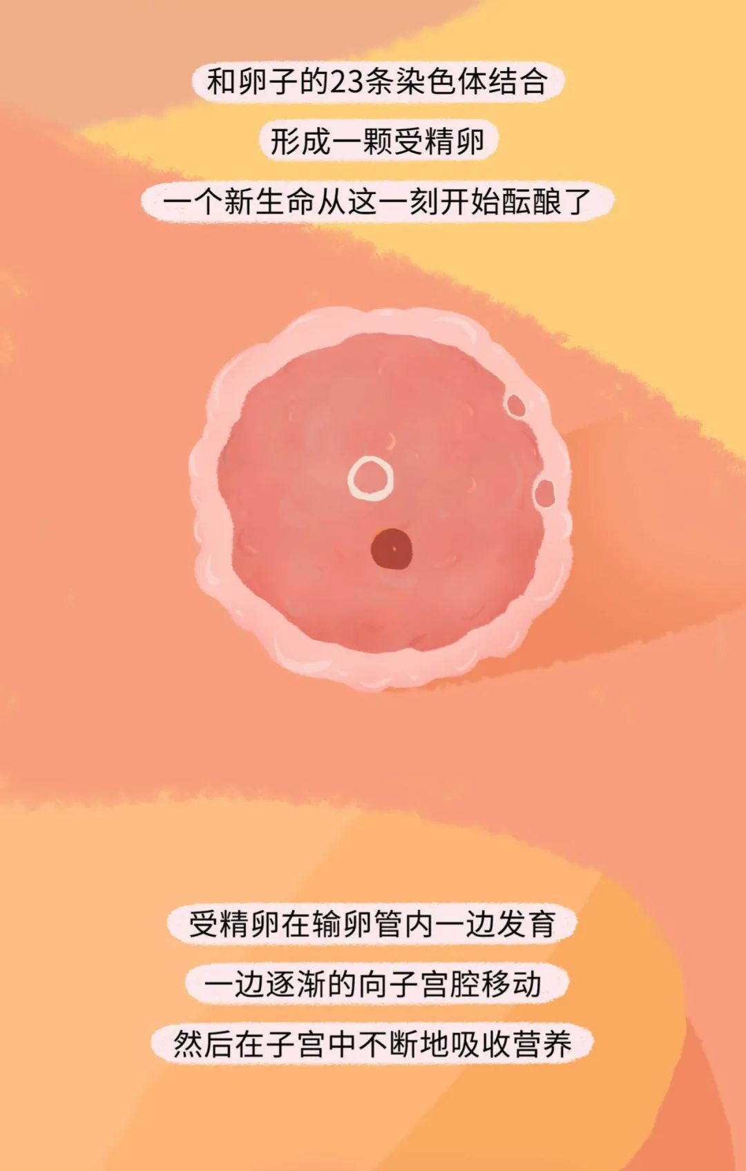 古代女人怀孕了要生宝宝漫画,怀孕的过程讲解漫画