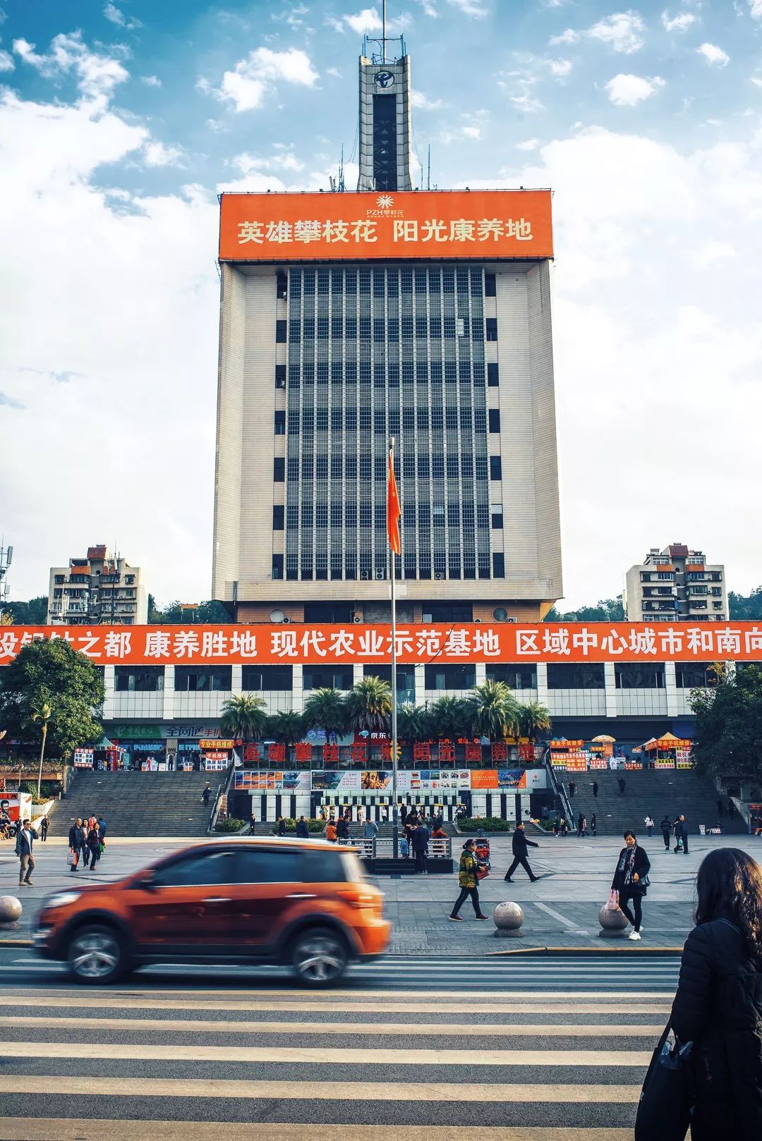 攀枝花是一种什么花,什么是攀枝花铁树