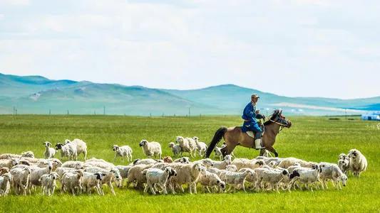 天堂草原内蒙古,天堂草原乌拉盖宣传片