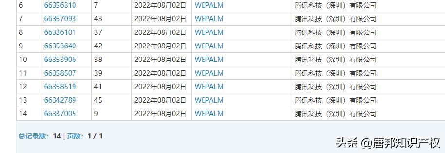 抬手就能付款！微信“刷掌”支付来了，网友：刷着刷着一套房没了