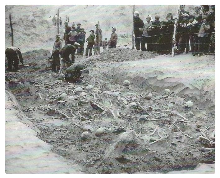 日本投降真实事件,日本投降前东北纪实