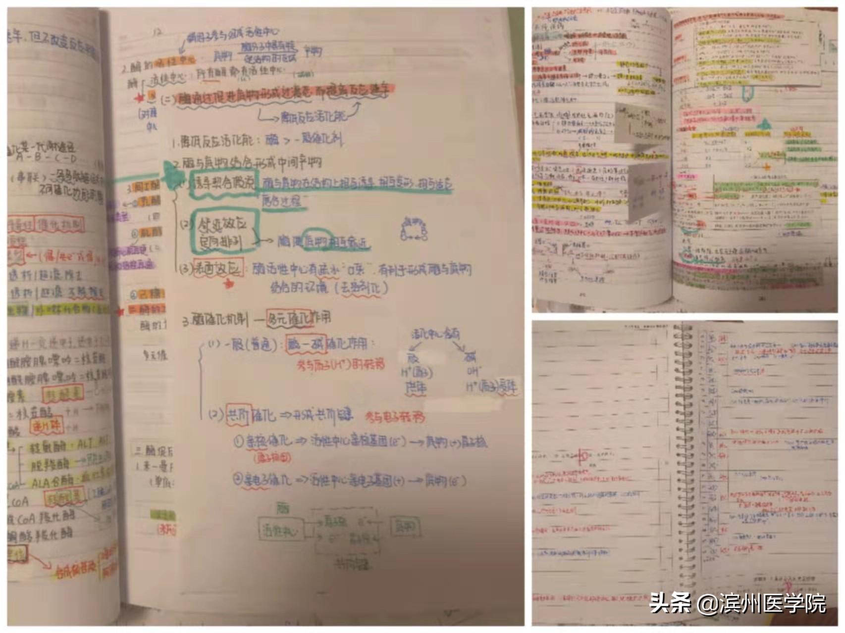 专业第一！428分！首批9位滨医学子梦圆北大