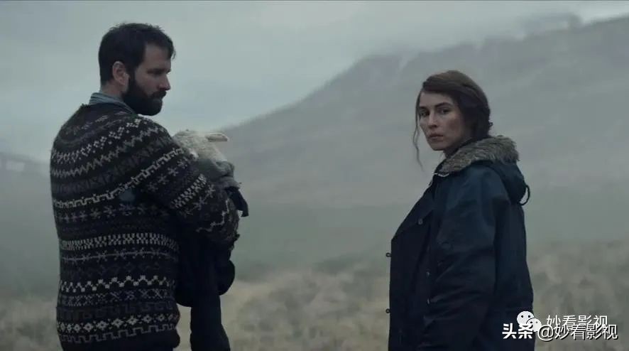 冰岛恐怖羊崽,冰岛羊崽