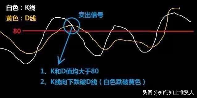 学到极致是什么意思,学到极致便是沧海一粟