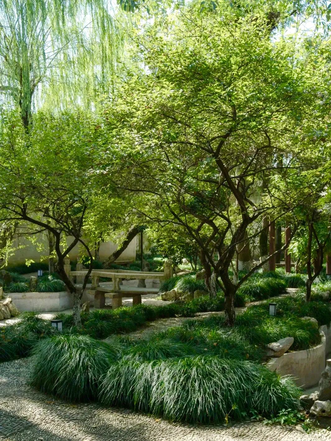 乌镇游玩攻略必去的地方,乌镇里免费的宝藏景点