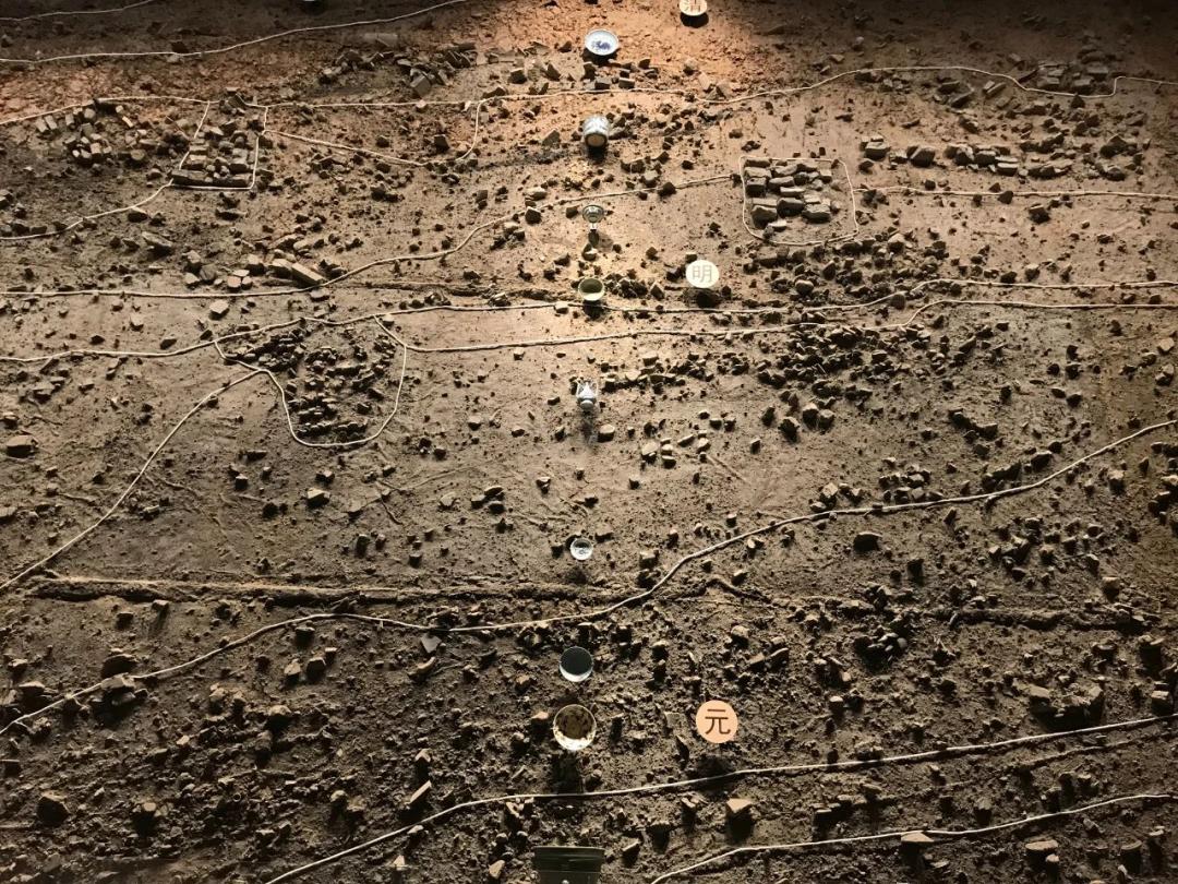 上海2021年新开的博物馆,2019年十大博物馆