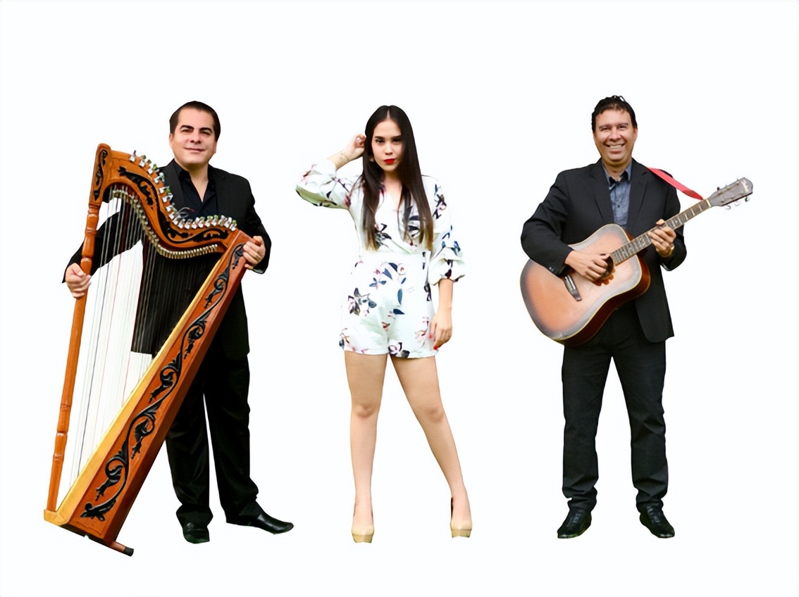 三亚会员酒店,三亚福朋喜来登度假酒店入住体验