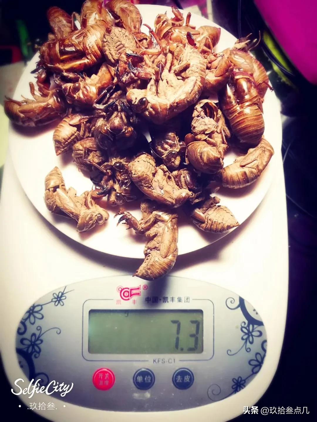 成都中医药大学感染科,成都中医药大学附属医院新冠处方