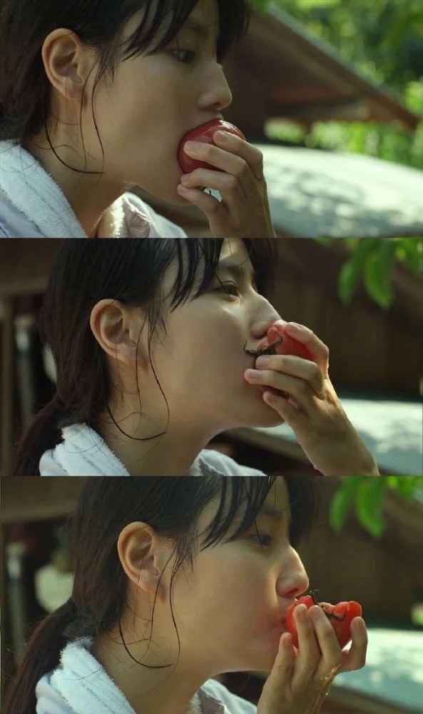 日本电影小森林简介,日本治愈系电影小森林海报