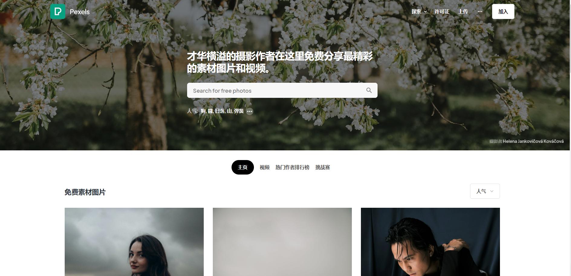 有图片版权的网站推荐,比较好用的有版权商用图片网站