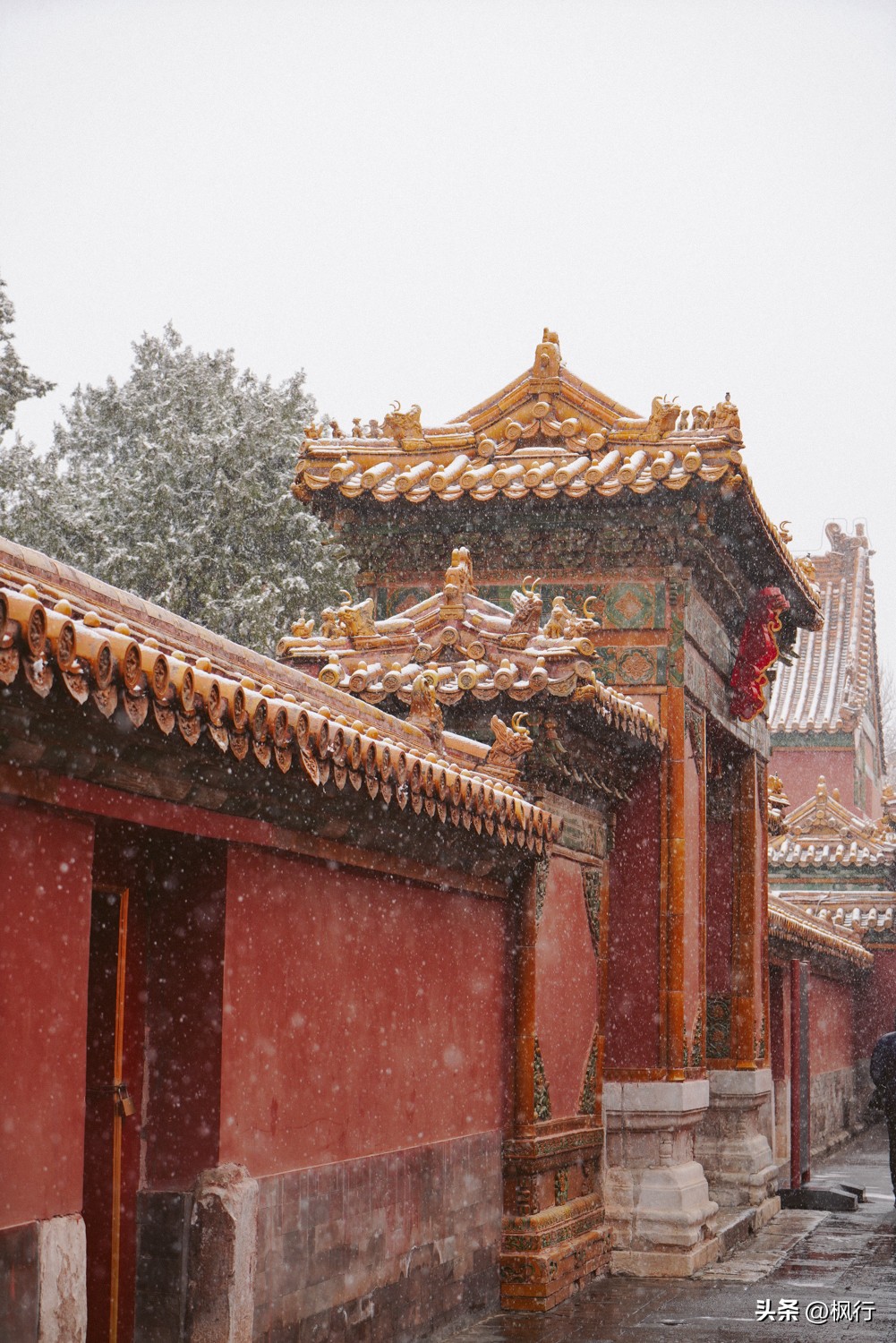 故宫开启雪景模式北京迎今冬初雪,北京下雪去哪里看故宫最好看