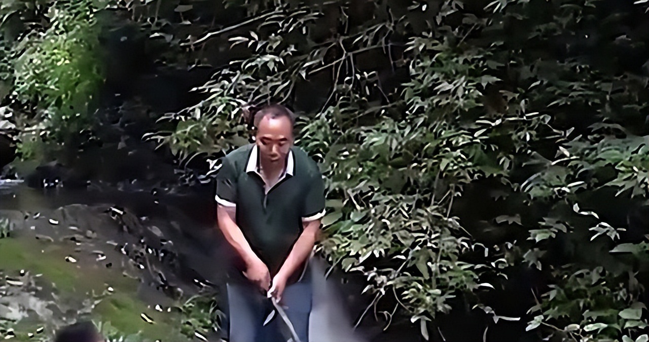 吉林农妇好心收养毒蛇,吉林农夫好心救了一条毒蛇