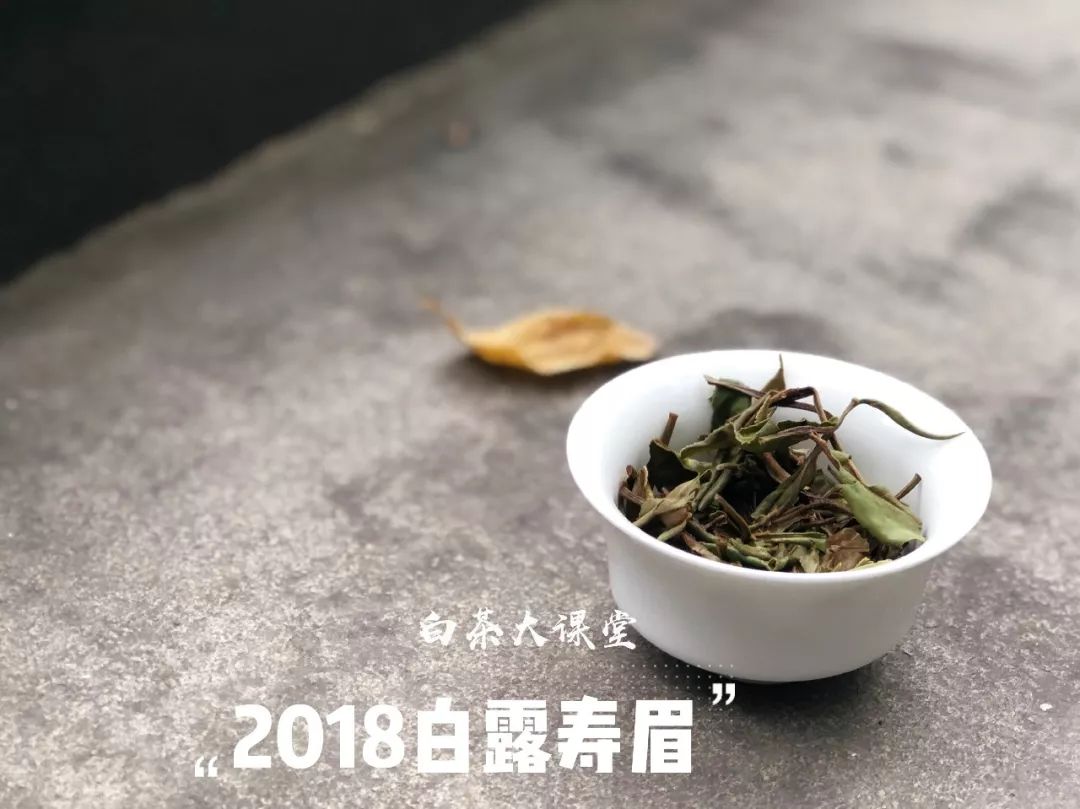 白茶是一种绿茶么,白茶是白的吗