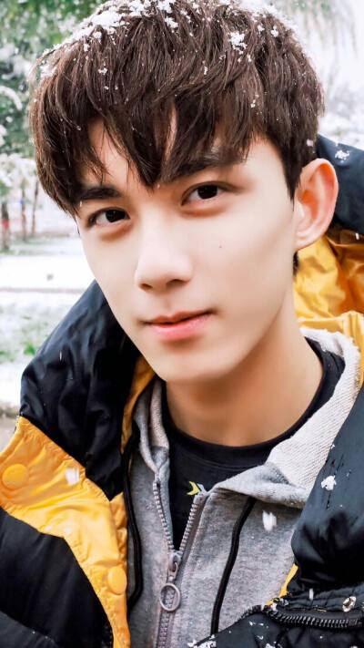 说出15个川渝地区的男明星,巴蜀美男子