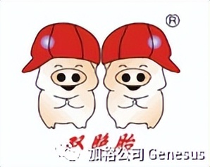 全球生猪养殖企业排名,世界十大牧业集团排名