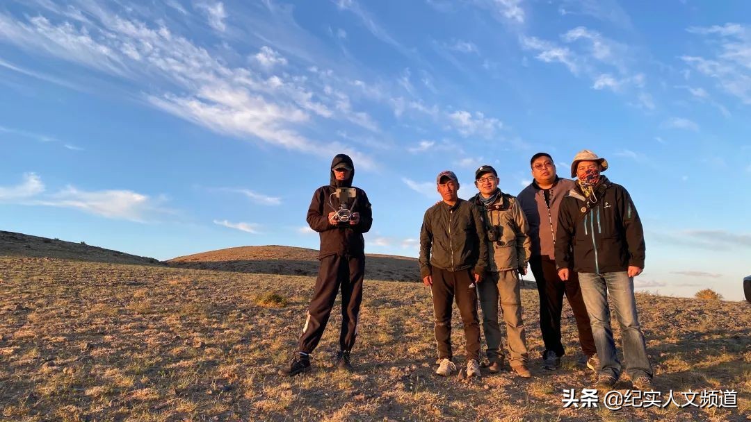 草原的野生动物在哪里,草原看野生动物