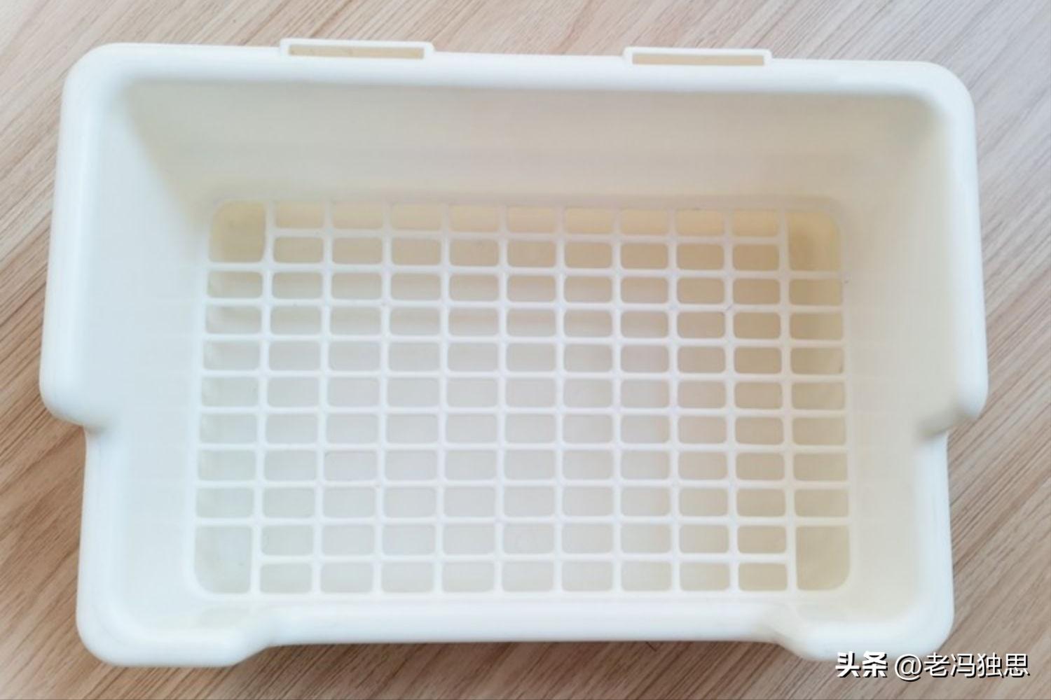 养兔秘籍侏儒兔,饲养侏儒兔日常