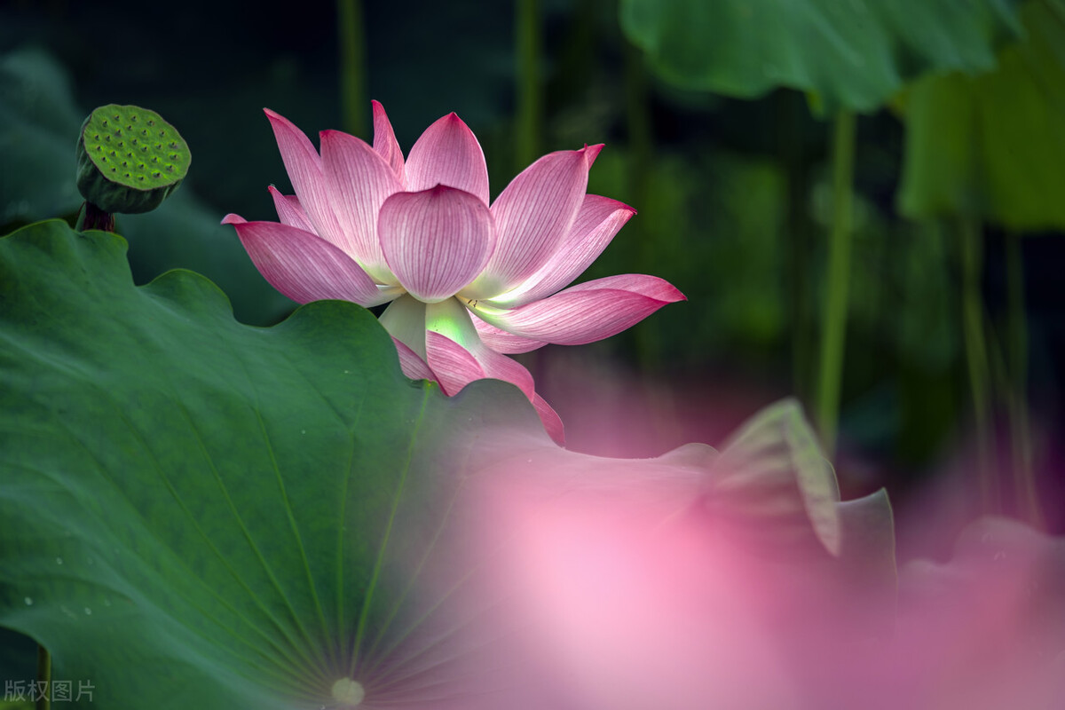 来杯2023，加糖，去冰，愿来年温暖如常，美好如初