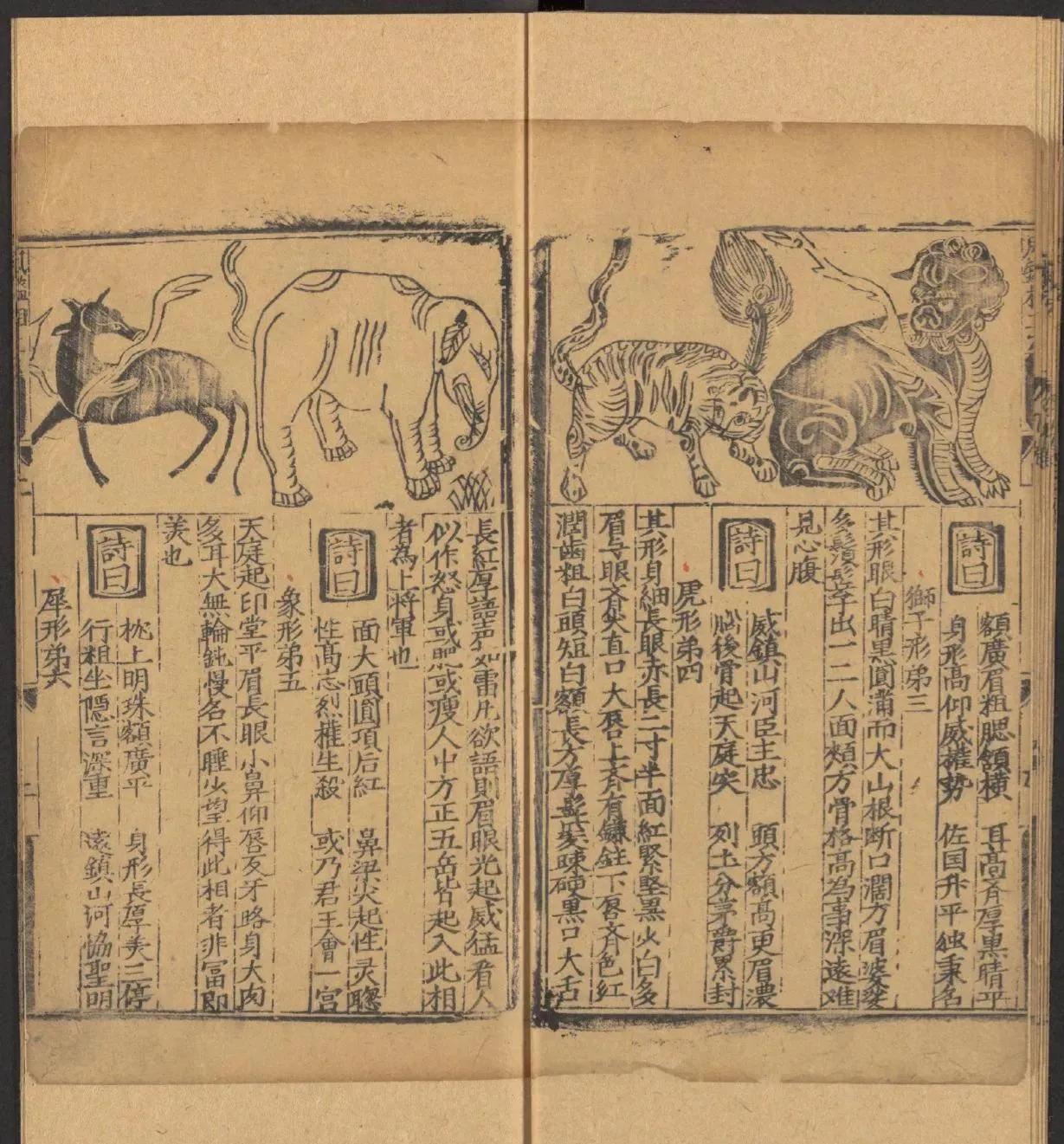 鎰熺煡鍘嗗彶鍝佸懗鏂囧寲缁忓吀,楹荤鐩告湳