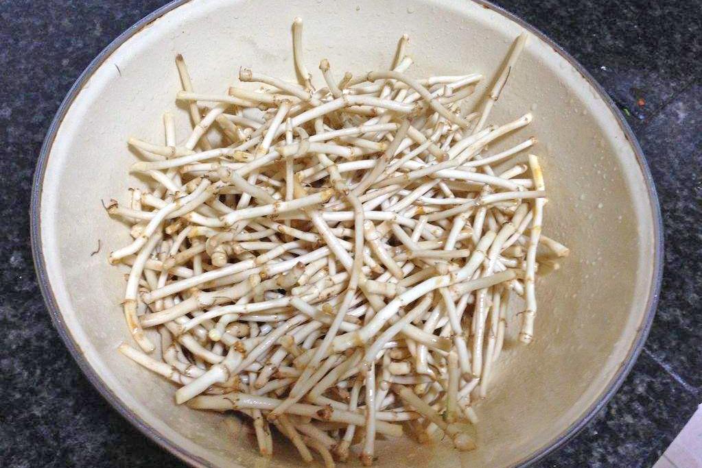 秋冬吃什么对肺部有益,这6种食物能养肺润肺