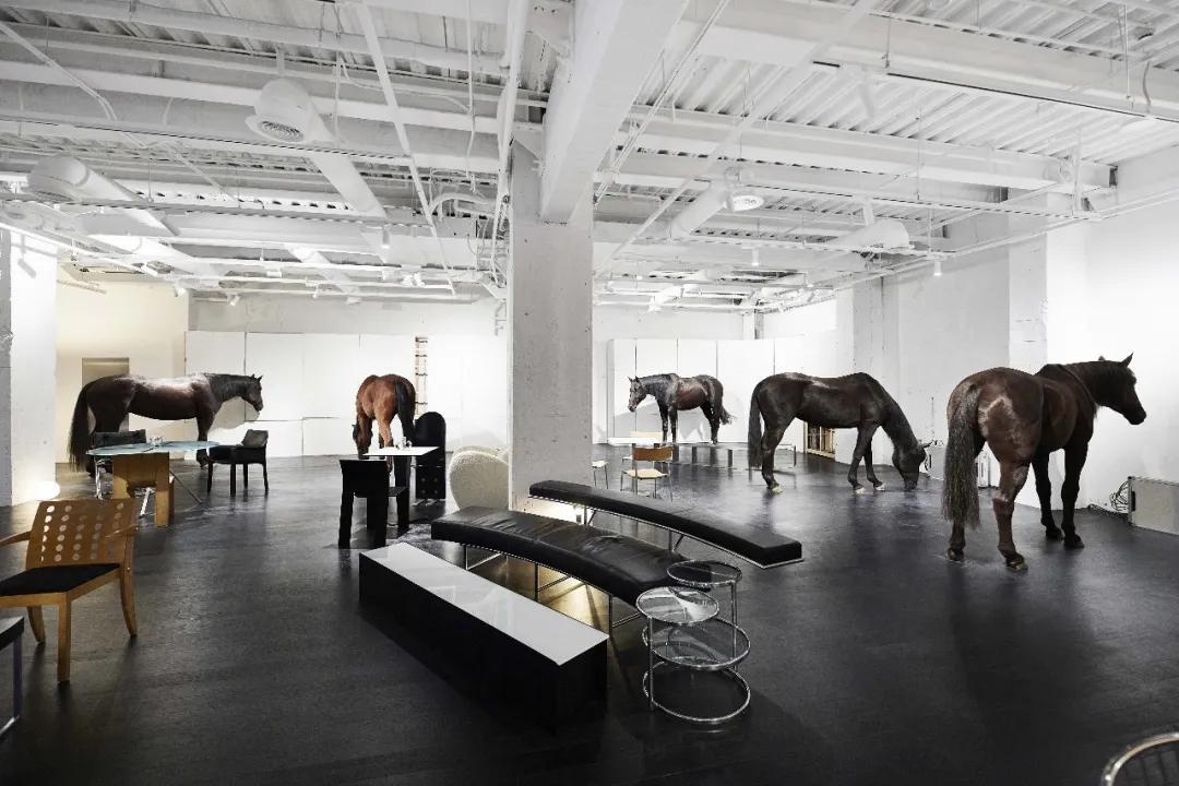 魔都18家潮店,魔都新增近1000家首店