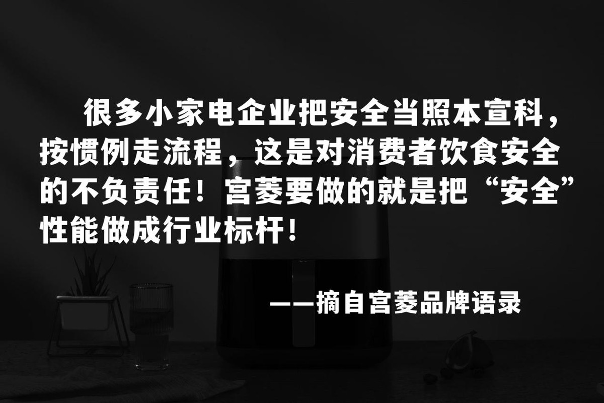 国内空气炸锅十大名牌排名,空气炸锅品牌正品2023爆款