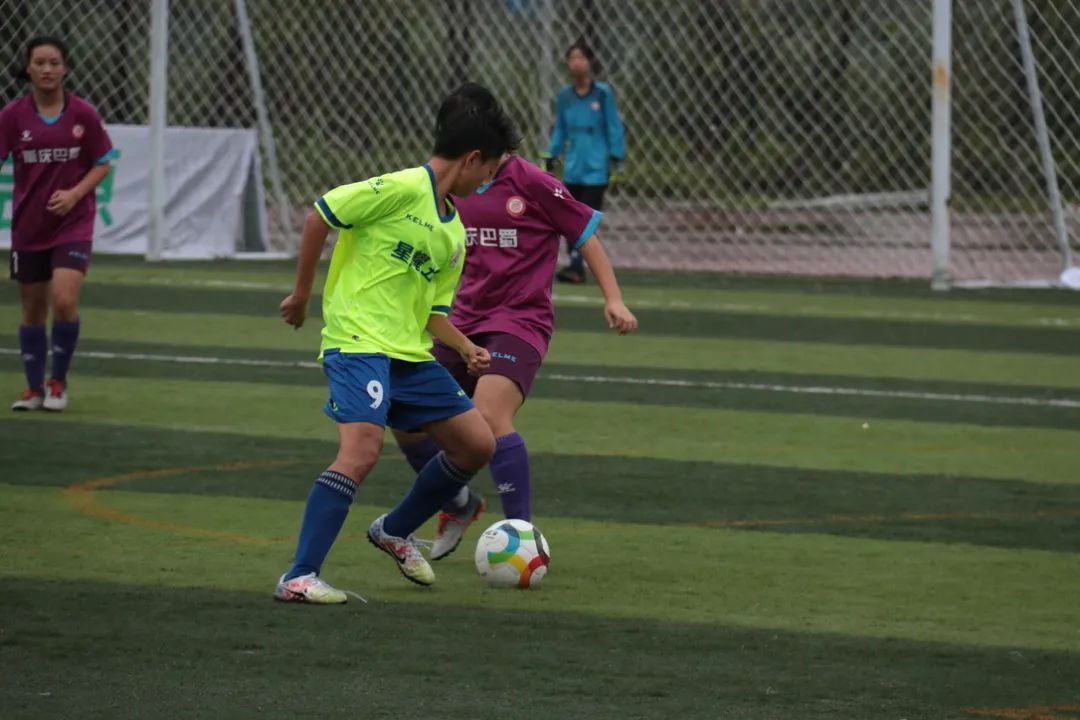 聚焦2023全国两会提案,聚焦2024年全国两会投票阶段