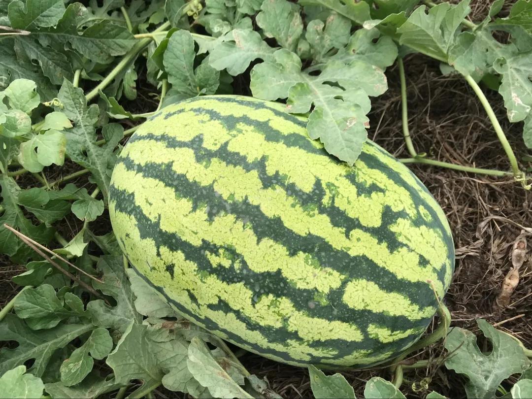 老汤创业,老汤生活记录