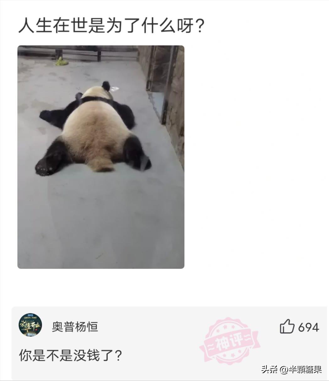 网友爆笑神回复,令人破防的爆笑神回复