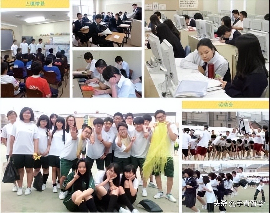 京都两洋高中与仙台育英高中比较,京都两洋高中留学经历