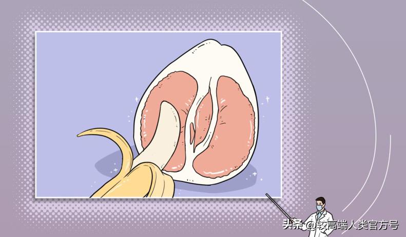 哪些生活电器是智商税,生活中的这些智商税商品你买过吗