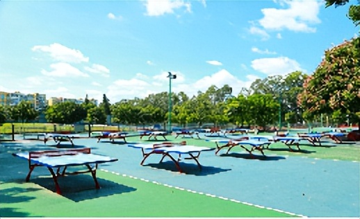 广西大专单招学校排名一览表,广西大专专业推荐对口单招