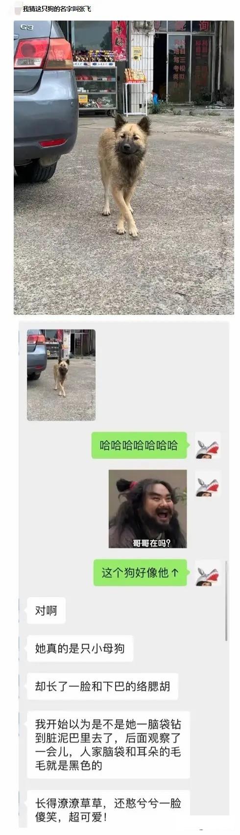 改作业的东西取不出来怎么办,改作业时油溅在作业上