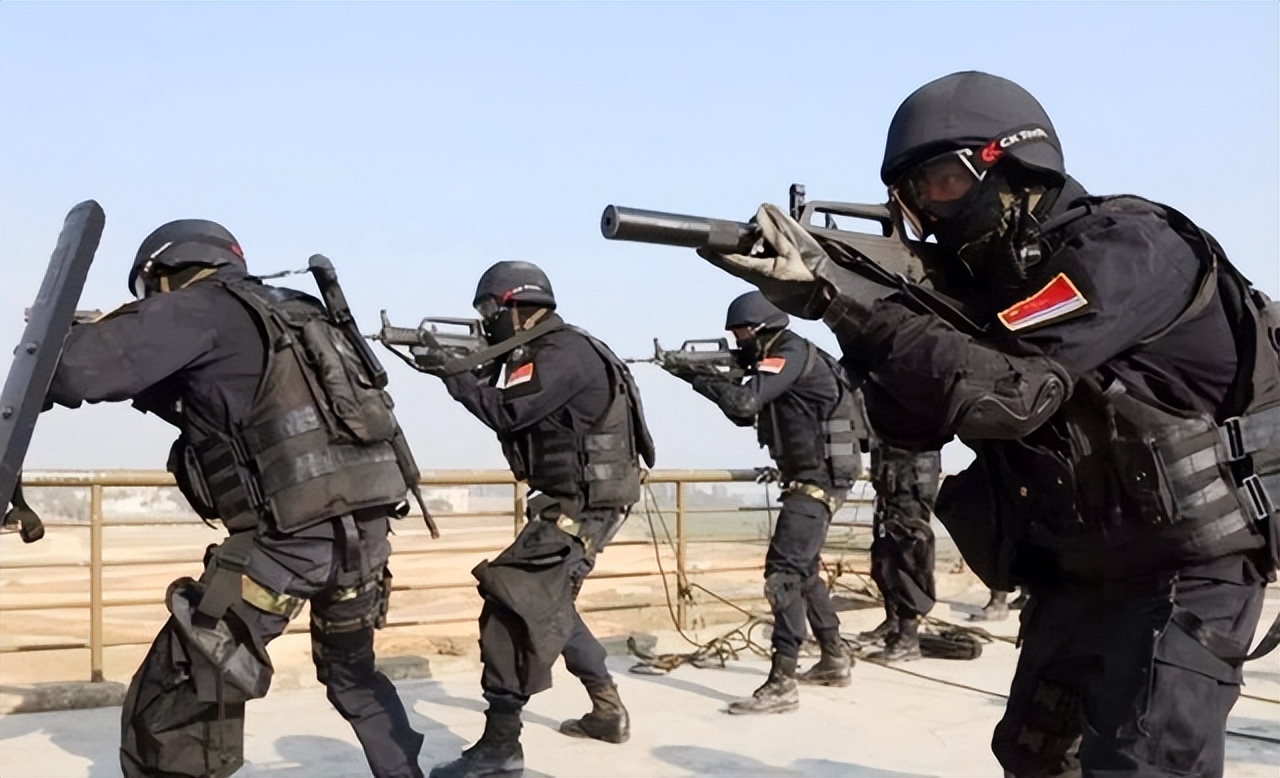 中国十大王牌特种部队,中国十大特种部队有哪些