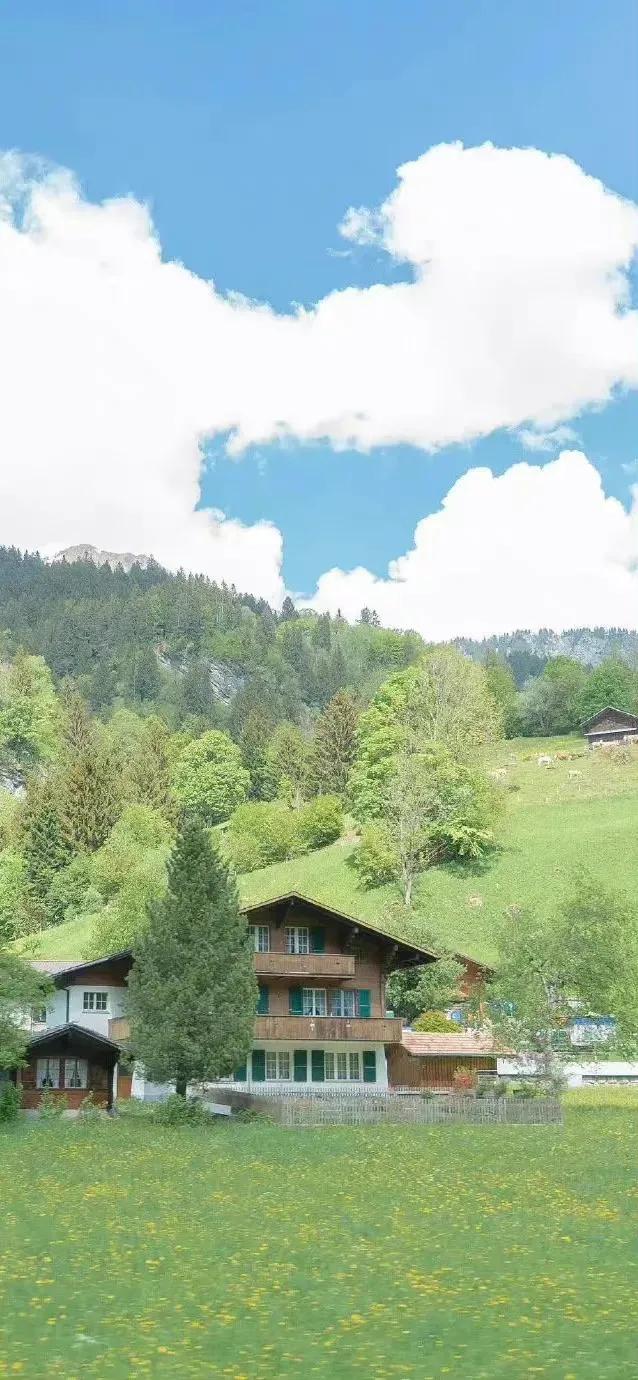 夏季清新凉快的壁纸高清,夏天一看就很凉爽的壁纸