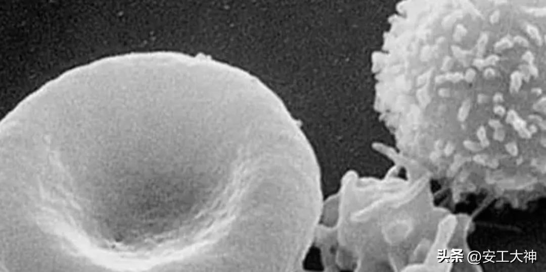 疫情正确的自我保护方式,疫情反弹注意保护好自我