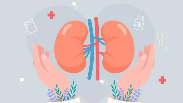 高血压肾病出现尿液减少,小腿浮肿是高血压肾病的症状吗