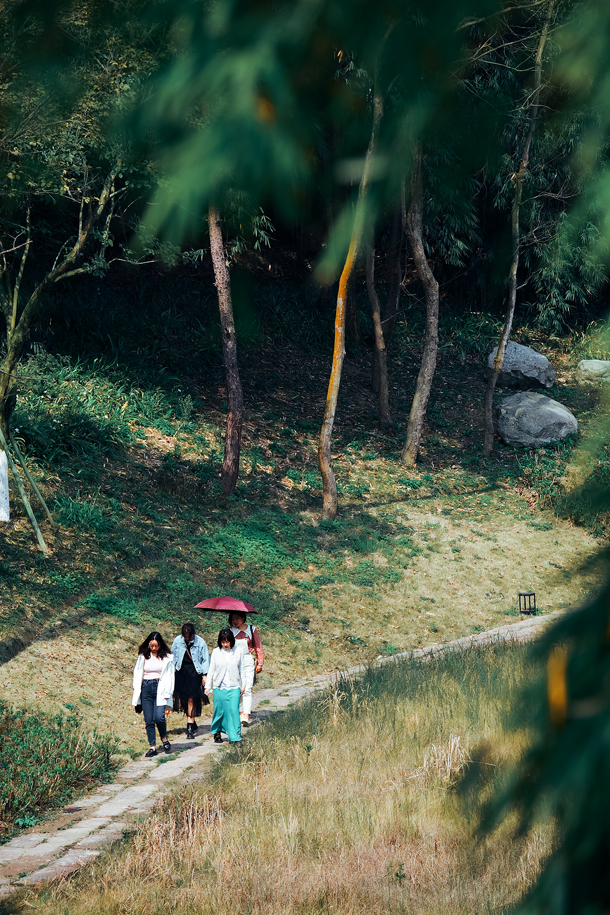 湖光山色美不胜收,湖光山色风景优美