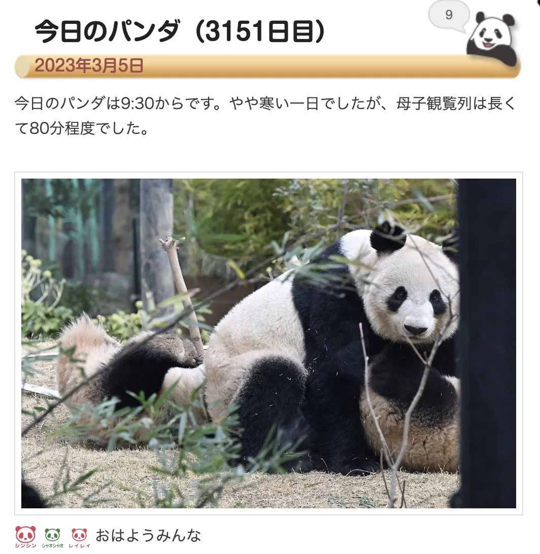 多少人关注丫丫,现在有多少人在关注丫丫