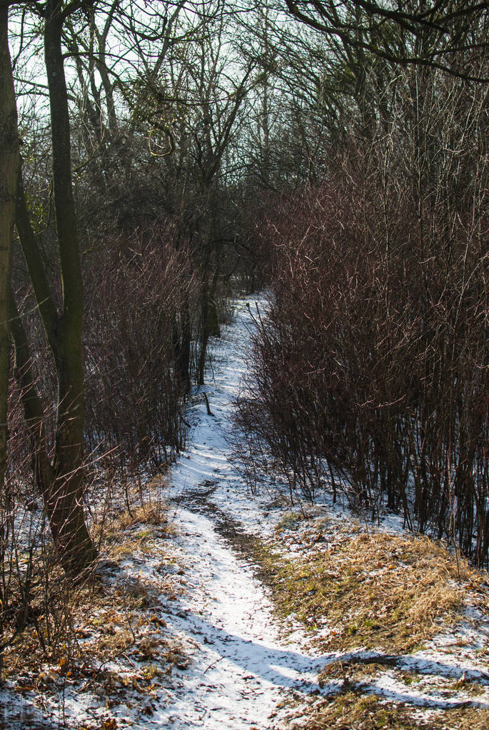 天堂里的姥姥,在天堂的姥姥您还好吗