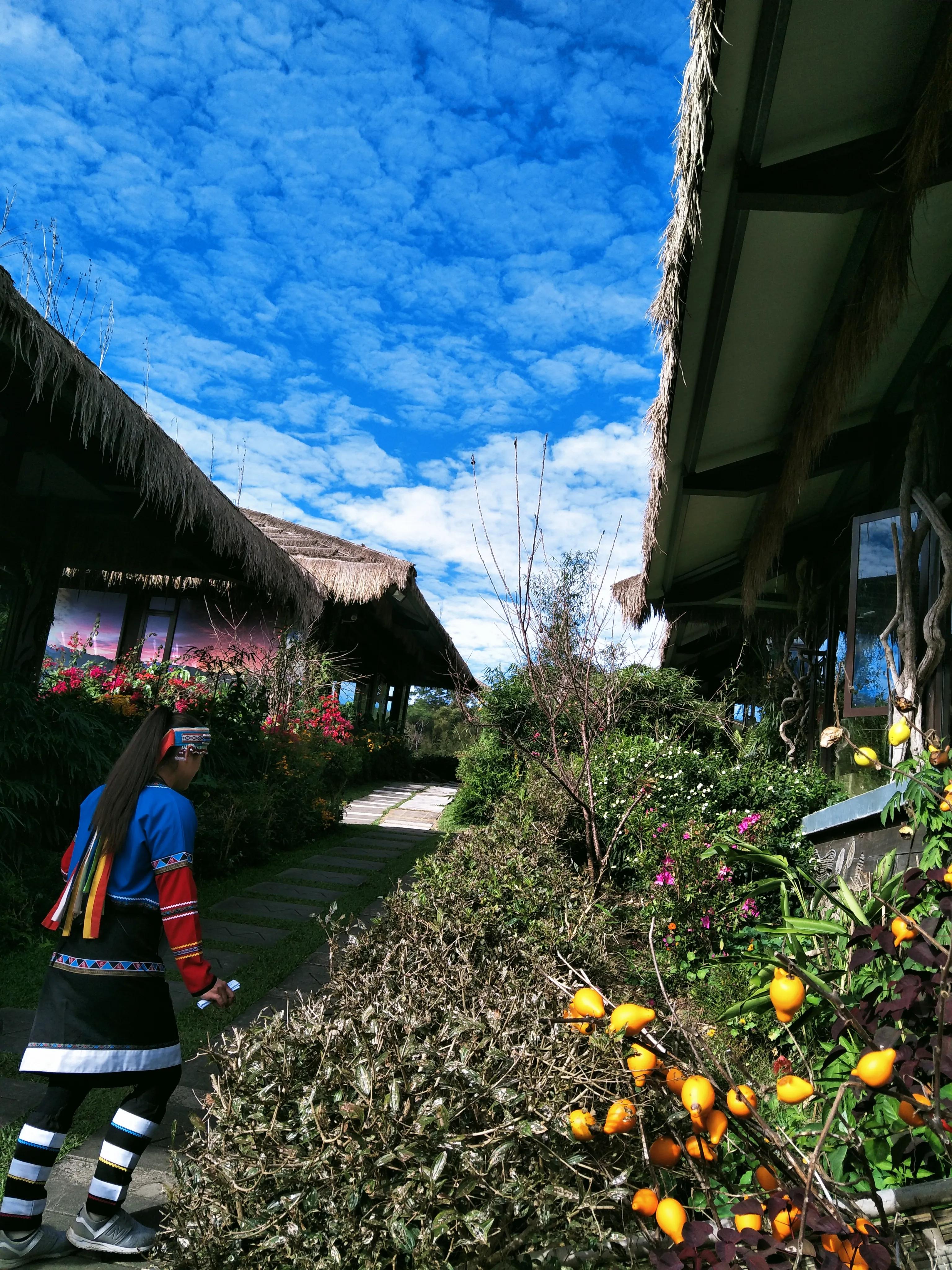 阿里山的云雾让人惊愕的是什么,阿里山的云雾莫名的惊愕和喜悦