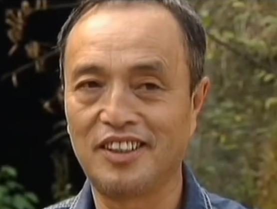 小伙捡到一块长满“金子”的石头,男子散步捡到会发光的石头给20万