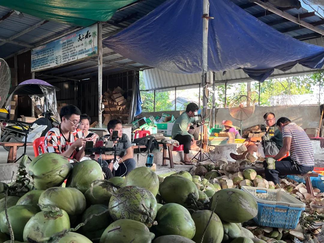 去海南探访椰子潮流背后的秘密,去海南要知道什么