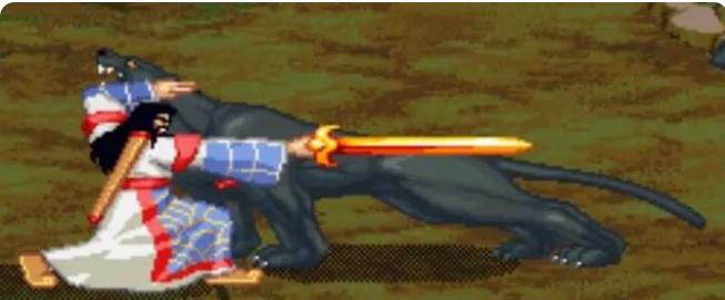 街机三国战纪复制道具,三国战纪2007正宗版道具说明