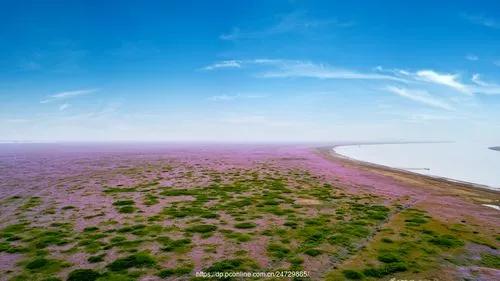 苦难的过去，救我们生命的鄱阳湖