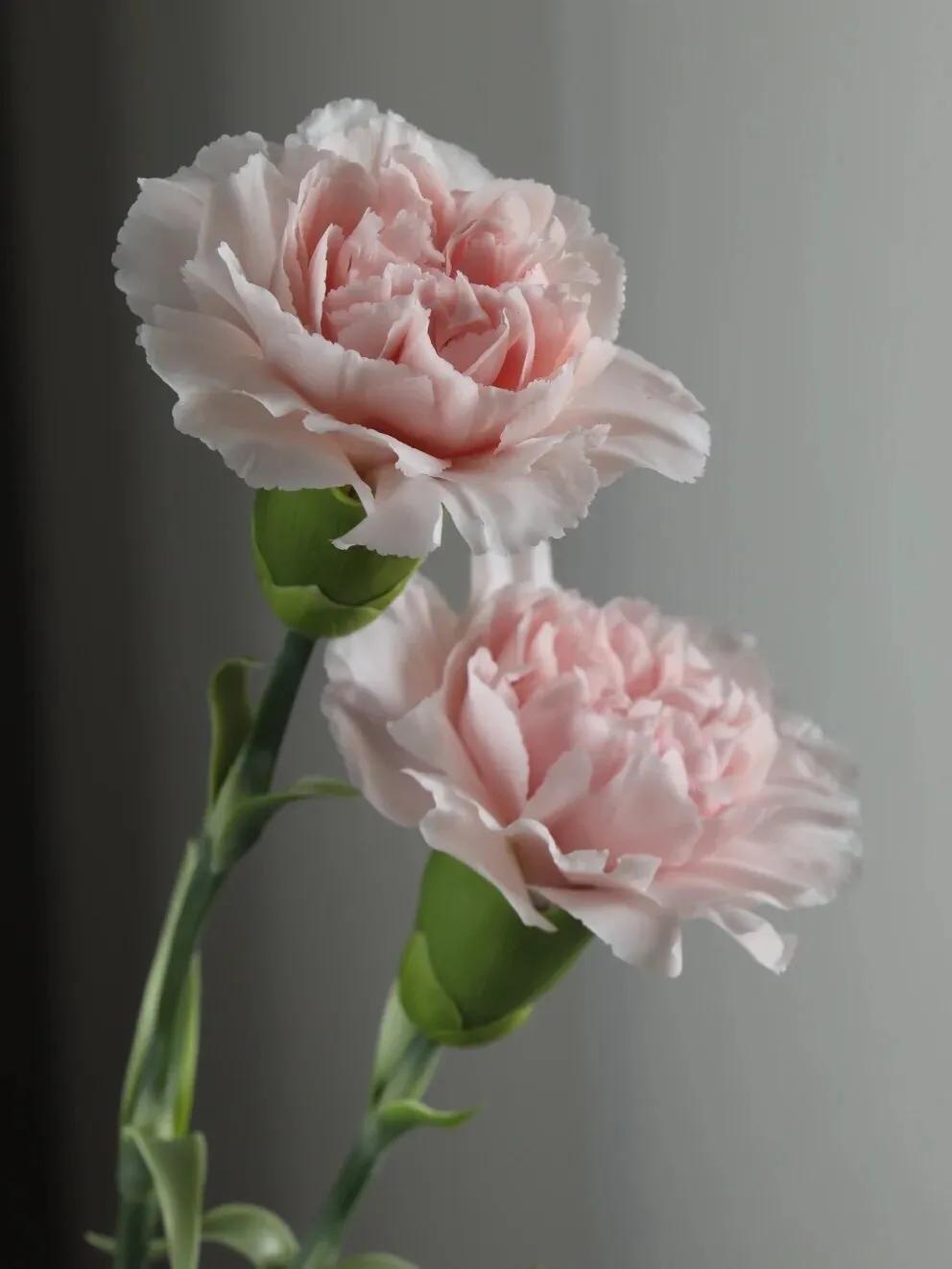 母亲节暖心文案给老婆,母亲节暖心文案