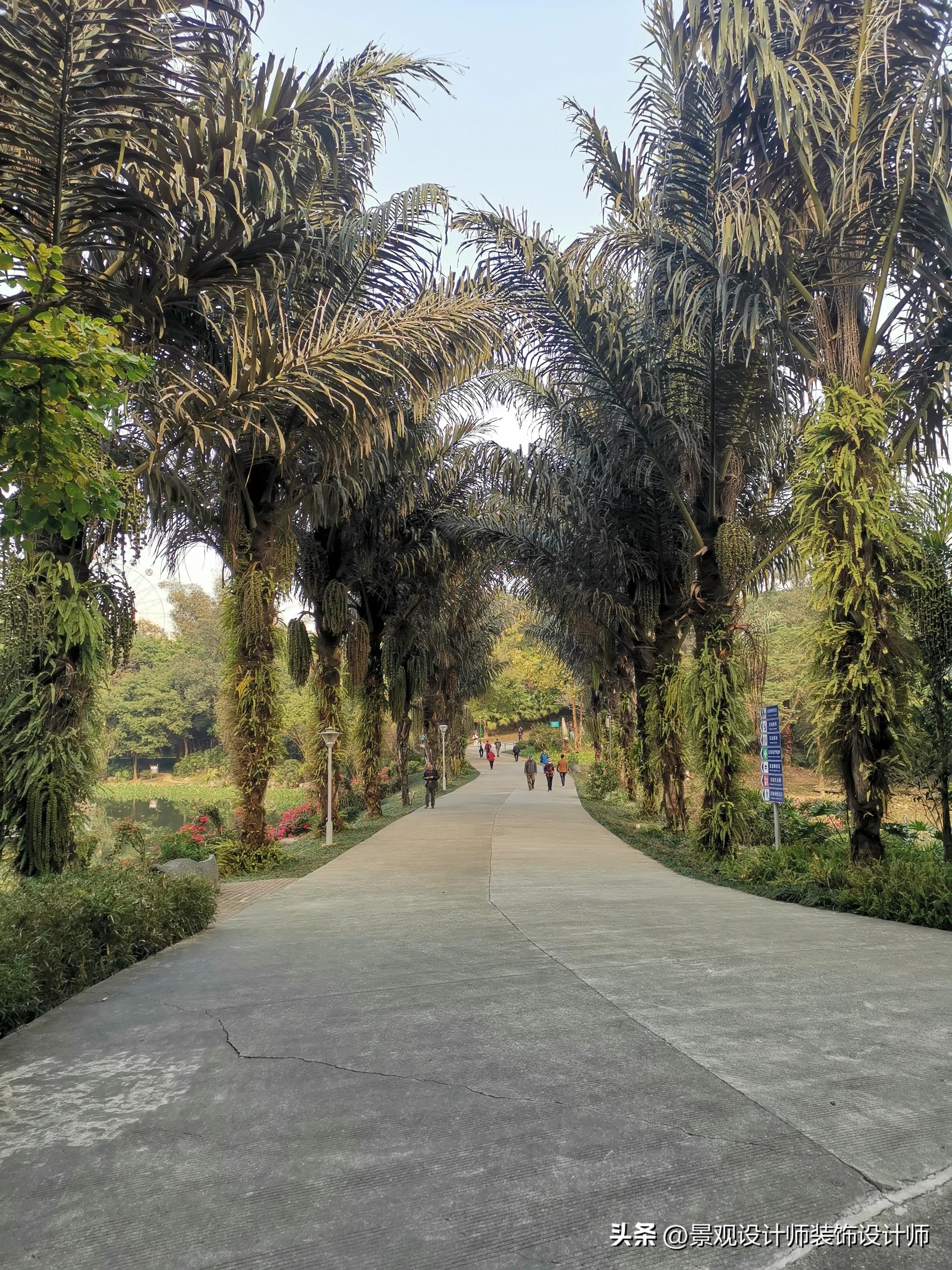 南宁市狮山公园办公区,南宁市狮山公园地址