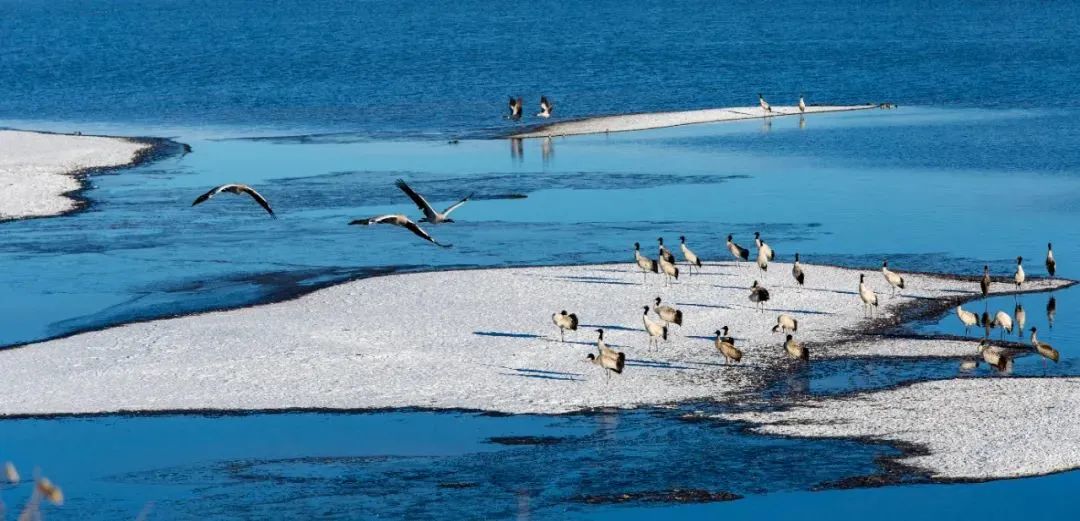 昭通大山包一览众山,昭通市昭阳区大山包乡