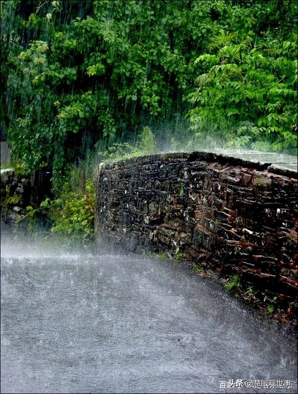 自然现象的古诗词,学生必背古诗词41到60句