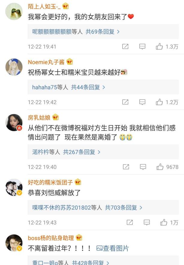 杨幂王鸥家庭,杨幂被后妈欺负争夺家产下集